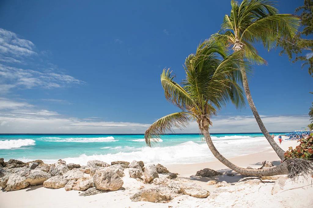 BARBADOS OCTOBER HALF TERM MEGA DEAL
